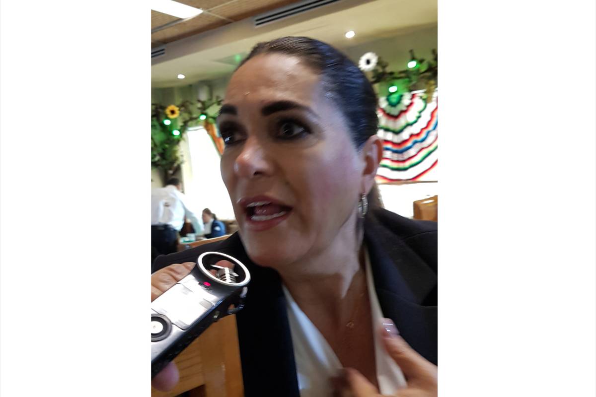 Convenio entre Facebook e INE promoverá la participación Ciudadana: Flor Rentería