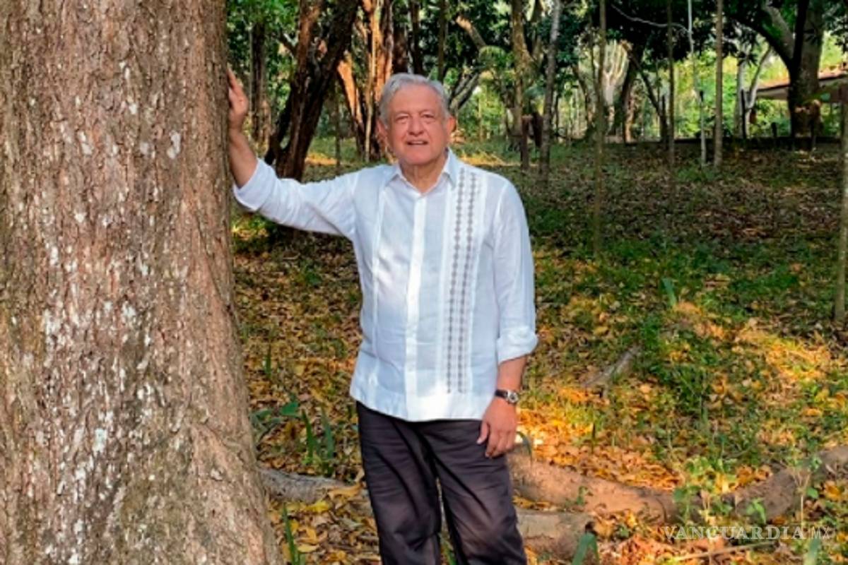 ‘Sembrar árboles y migración no van ligados’: gobierno de EU le responde a AMLO