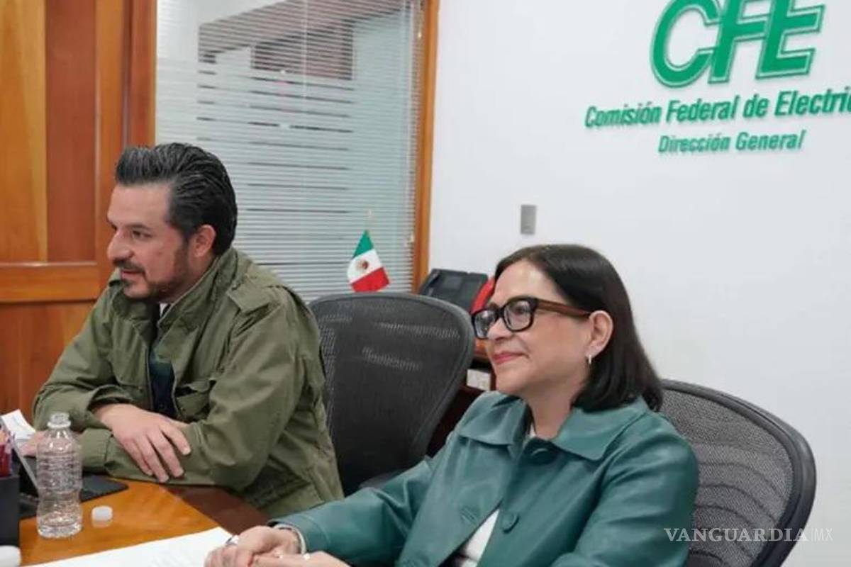 IMSS y CFE se alían para blindar hospitales ante apagones y fallas eléctricas
