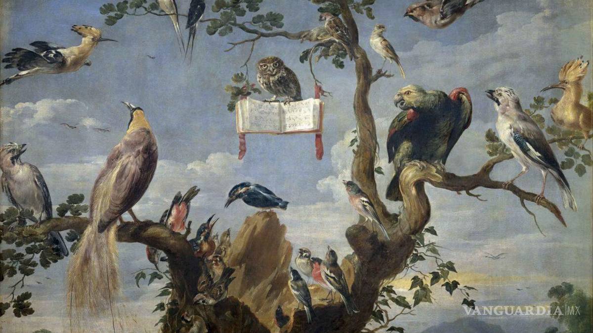 Saltillo: Museo de las Aves prepara celebración por 30 aniversario en 2023