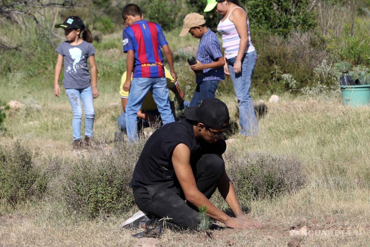 Apoyan trabajadores de Toyota reforestación de bosque de Universidad Agraria en Saltillo