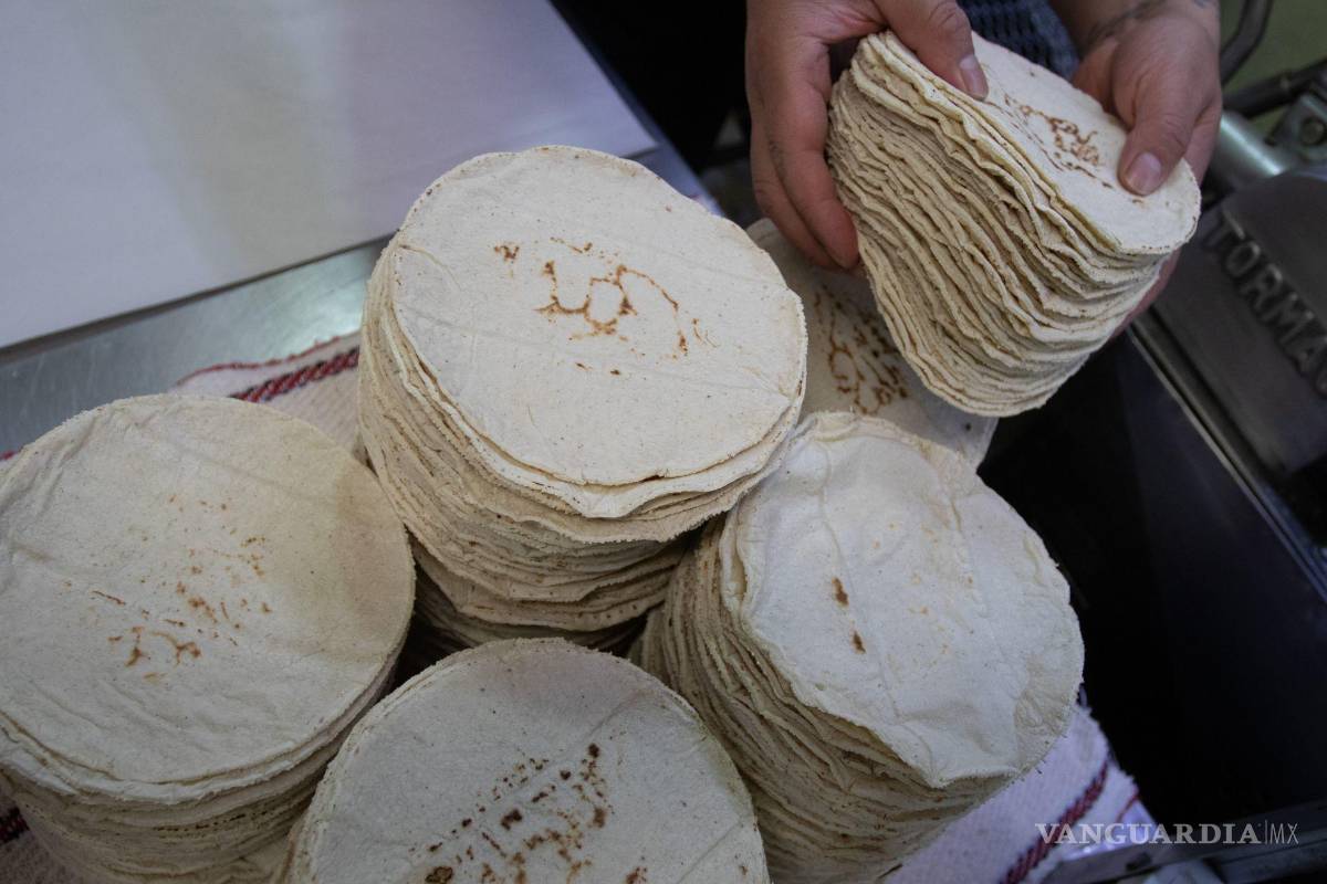 Tortilla debe regresar a la canasta básica, señalan