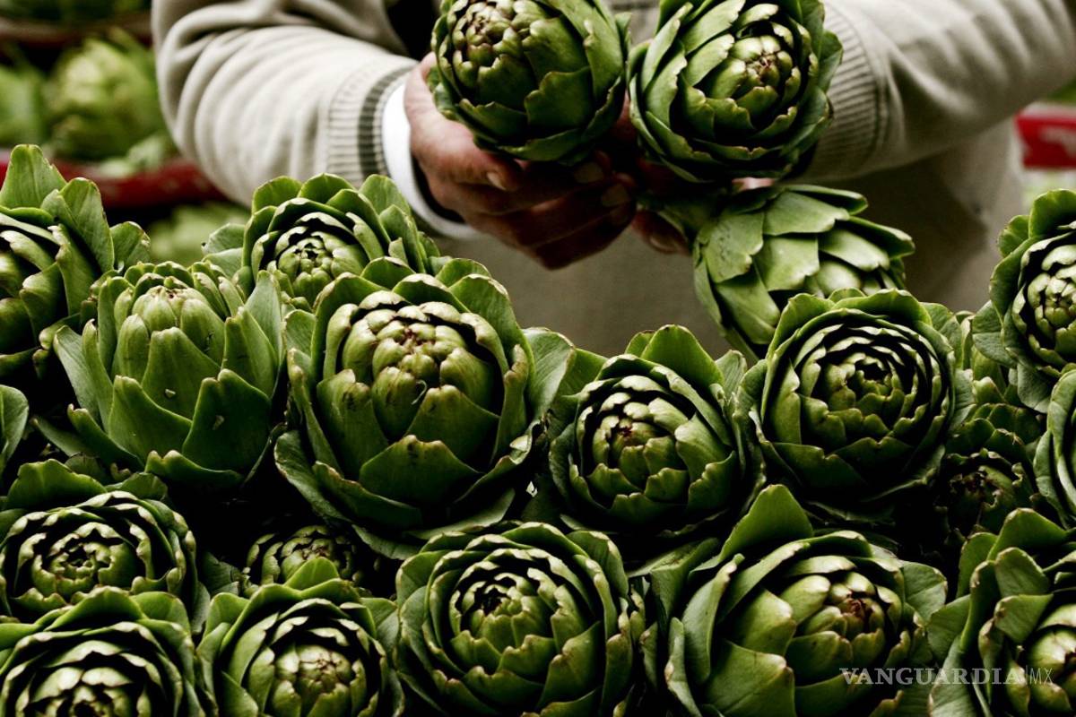 La Alcachofa previene el cáncer de colon