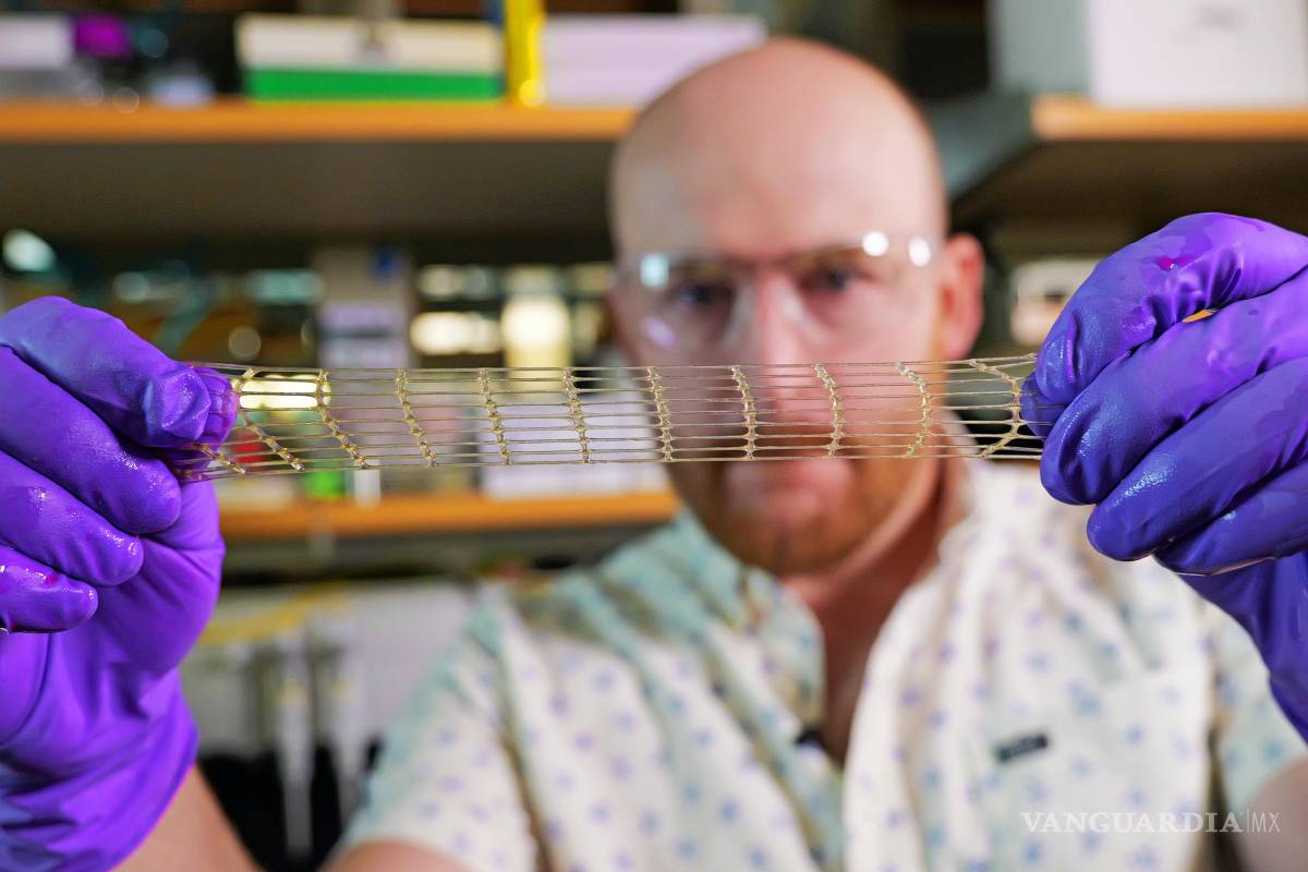 $!¿Una 'curita' ('band-aid' o tira adhesiva) para el corazón? Un nuevo método de impresión 3D hace esto posible, y mucho más.