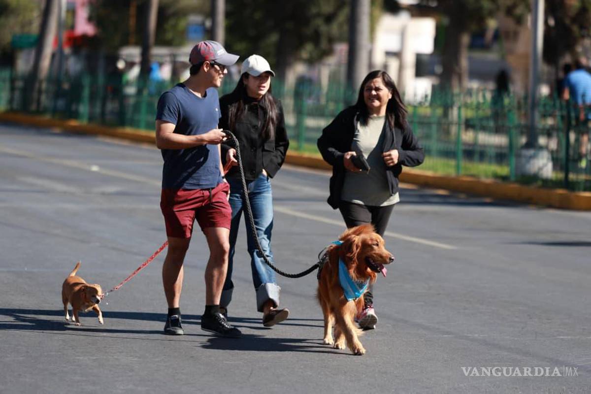 Disfrutan familias de un domingo activo en la Ruta Recreativa