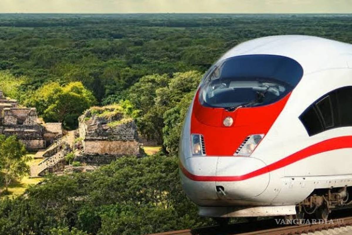 Tren maya, sin estudios de preinversión para construcción de mil 500 kilómetros