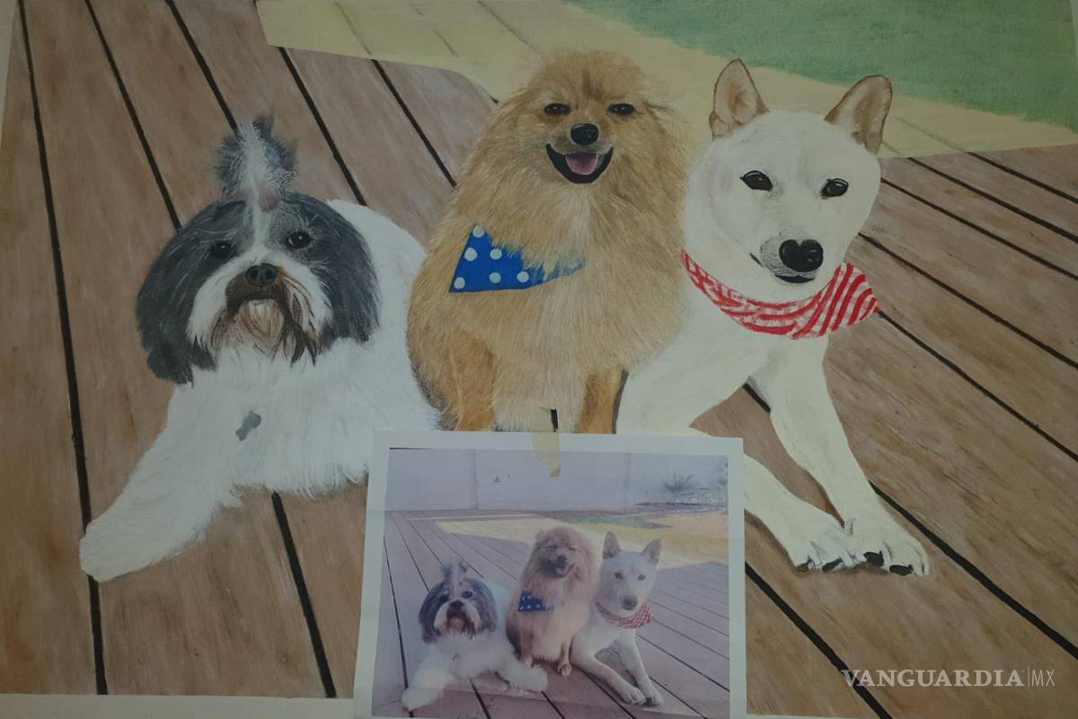 $!Sus cuadros, ricos en detalle y emoción, son subastados para recaudar fondos destinados a protectoras de animales.