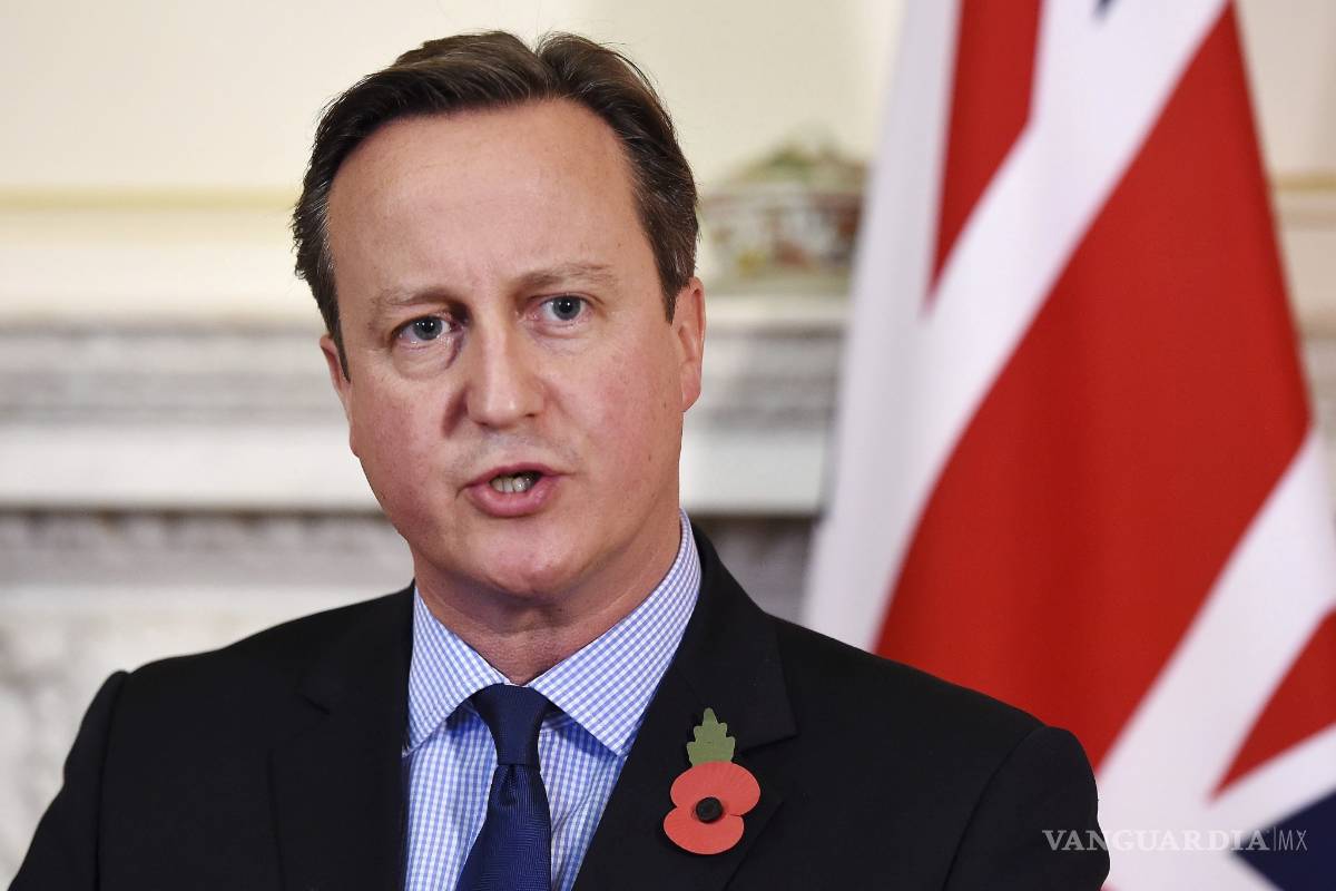 Cameron considera &quot;probable&quot; que el avión ruso fuese derribado por una bomba