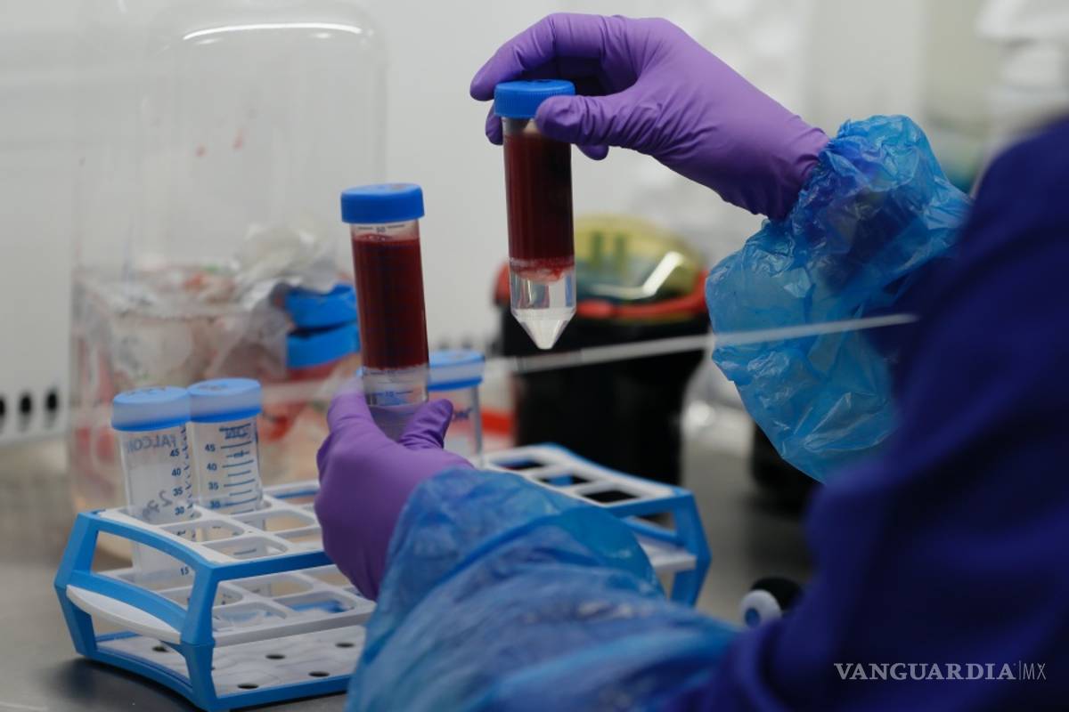 Descubren que un análisis de sangre podrá determinar si los enfermos de COVID-19 pueden empeorar