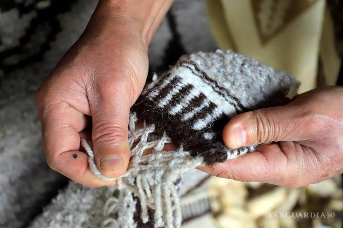 $!Las cotorinas, prendas de lana mexicanas que son únicas están en peligro de extinción