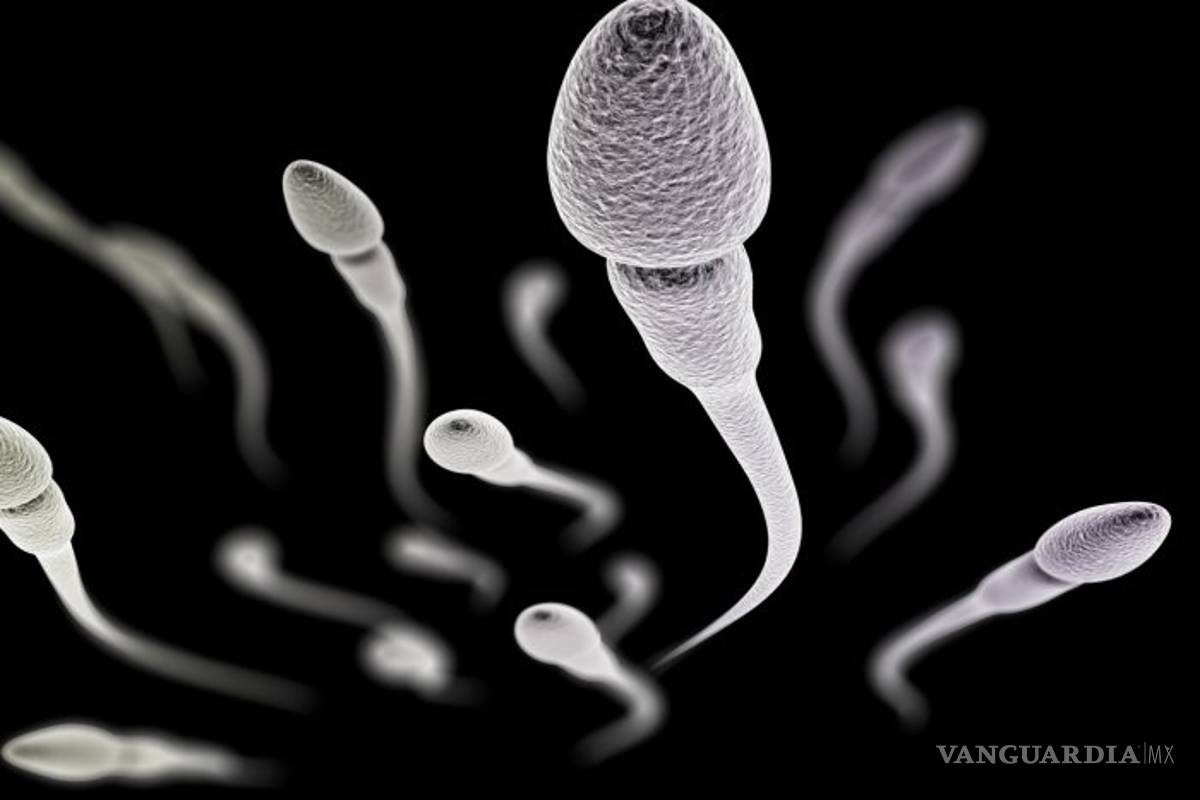 $!Calidad del semen indica estado de salud masculina