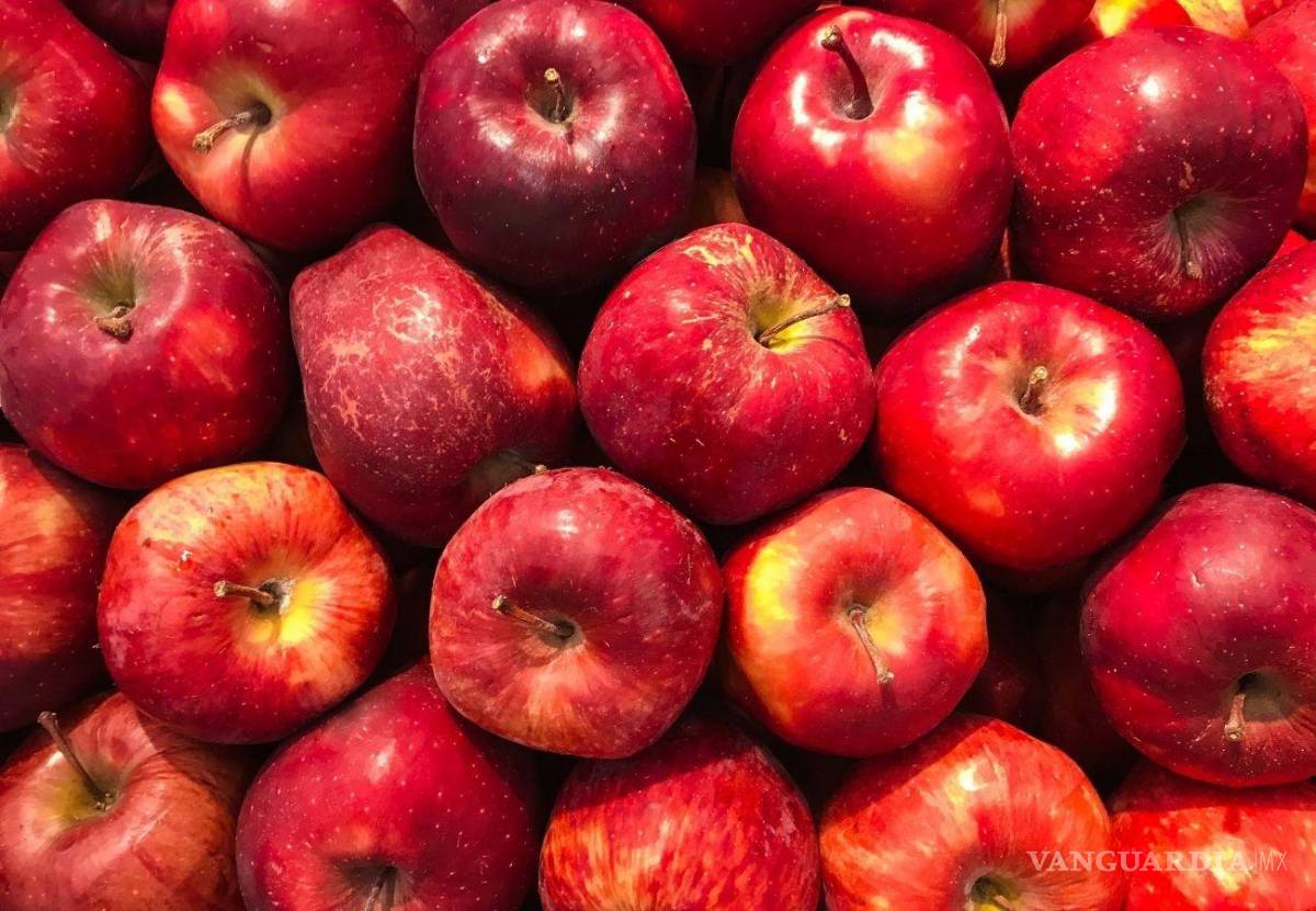 $!Manzanas rojas, verdes y amarillas... ¿Cuál es la diferencia enter ellas y cuáles son sus propiedades?