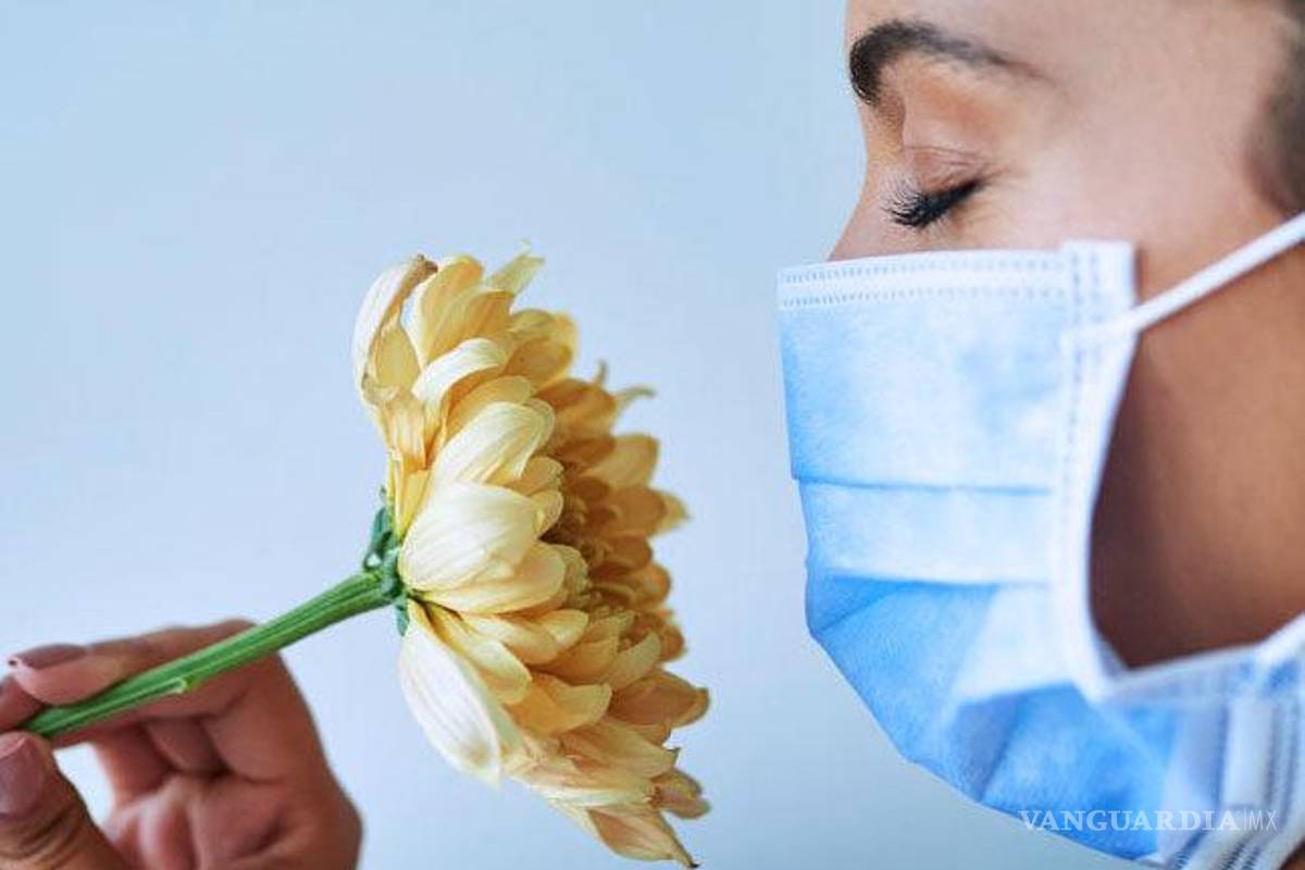 Millones de personas en EU carecen del sentido del olfato o del gusto, años después de la infección por COVID-19