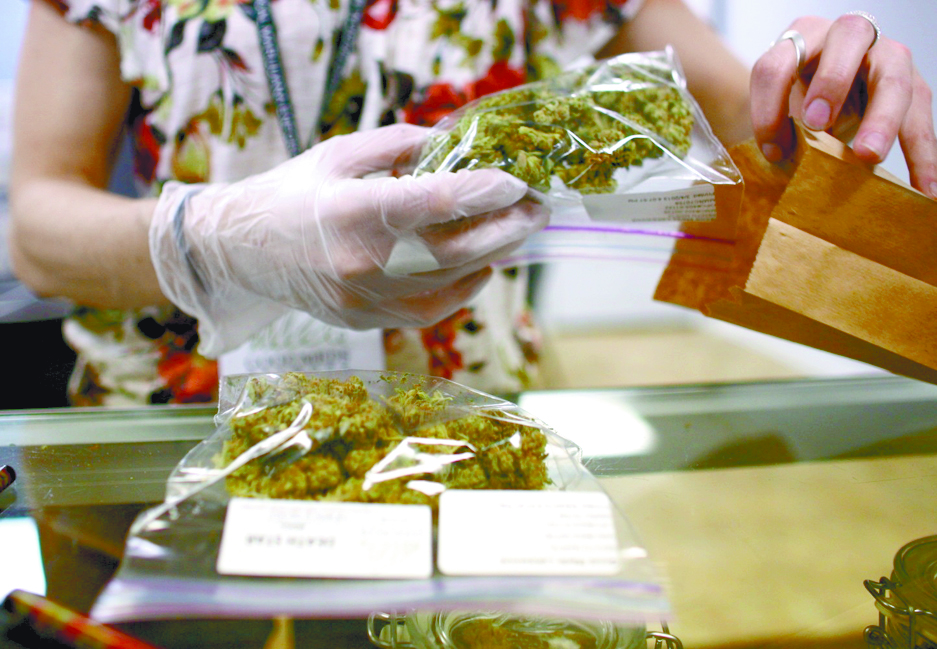 ‘Legalizar la mariguana beneficiará a las mafias’