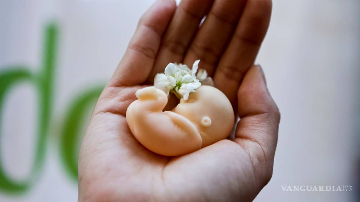 Bachelet celebra la aprobación del Constitucional a ley de aborto en Chile