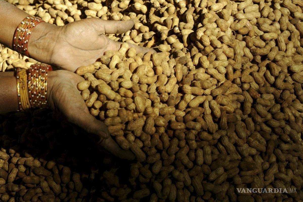 ¿Colesterol y triglicéridos altos? Comer nueces te puede ayudar a reducir sus niveles