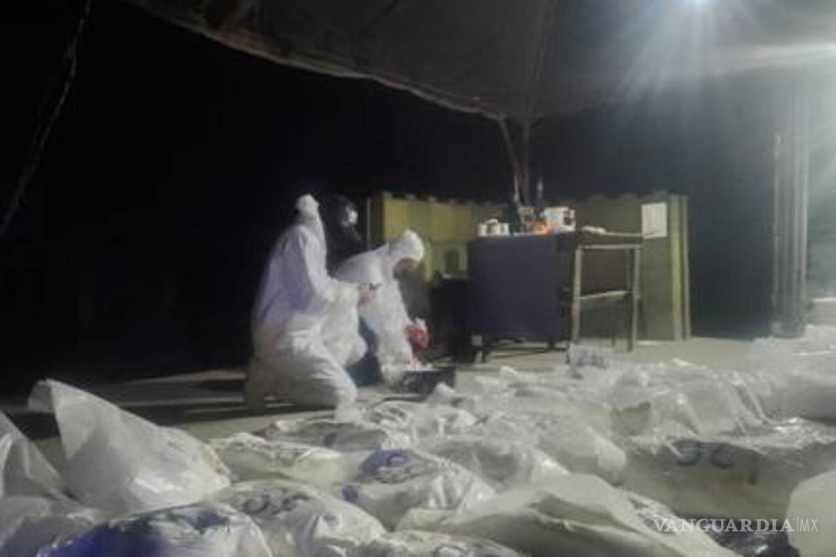 Dan doble golpe contra el fentanilo en Sinaloa, aseguran 280 kilos y 350 mil pastillas