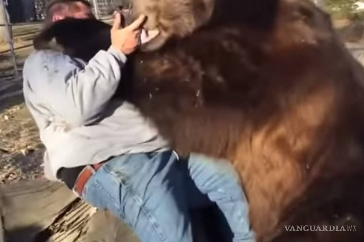 Este oso tiene dimensiones increíbles ¡No deje de verlo!