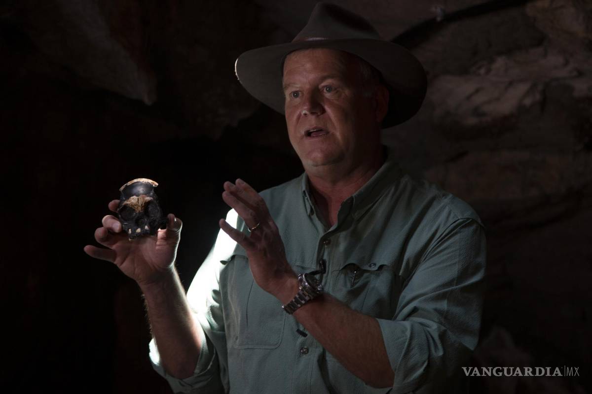 Científicos descubren un fósil de un niño homínido en Sudáfrica