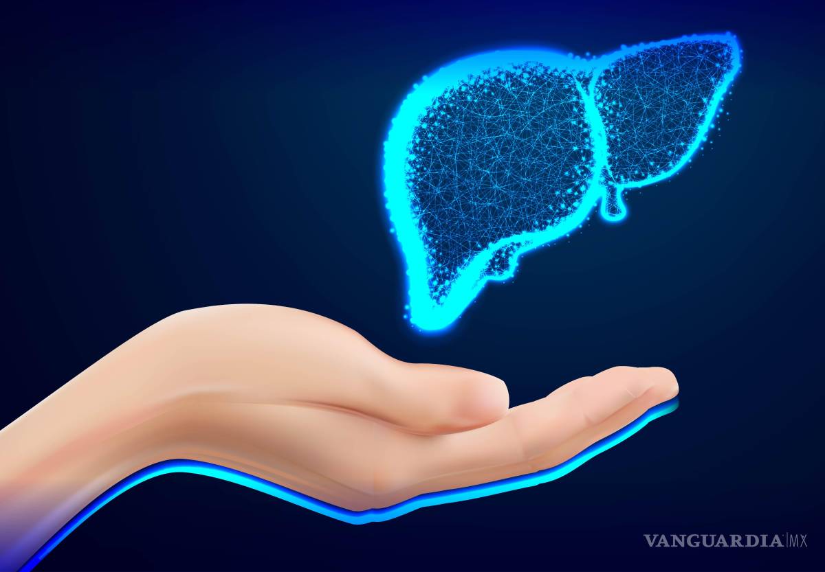 $!El equipo identificó varios genes y factores de transcripción involucrados en esta reprogramación celular.