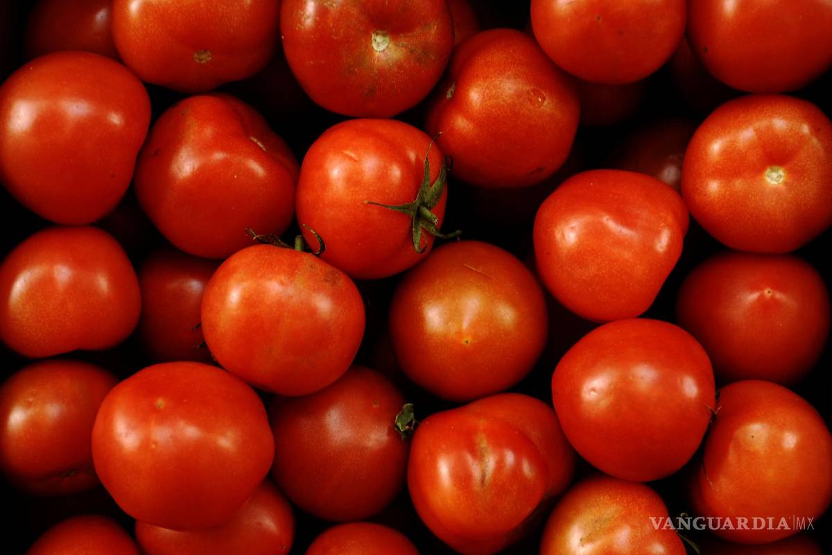 $!“Es necesario un buen consumo de vitamina A para no tener problemas de visión. EFE/Paco Torrente