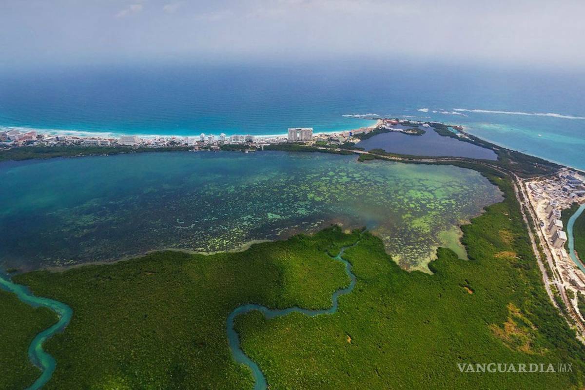 Punta Nizuc, otro manglar de Quintana Roo en peligro