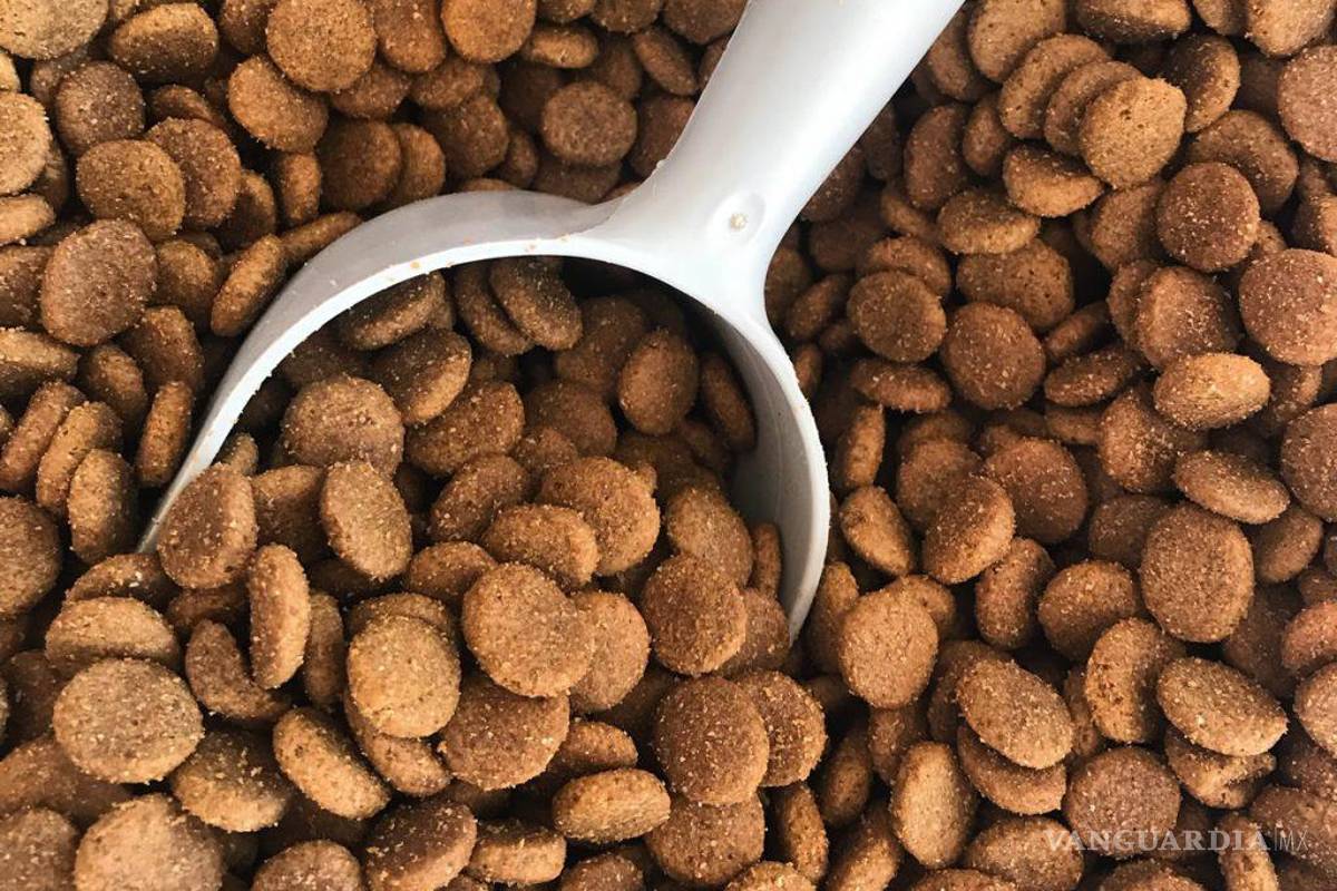 Croquetas y sobres para perros y gatos seguirán pagando IVA del 16%
