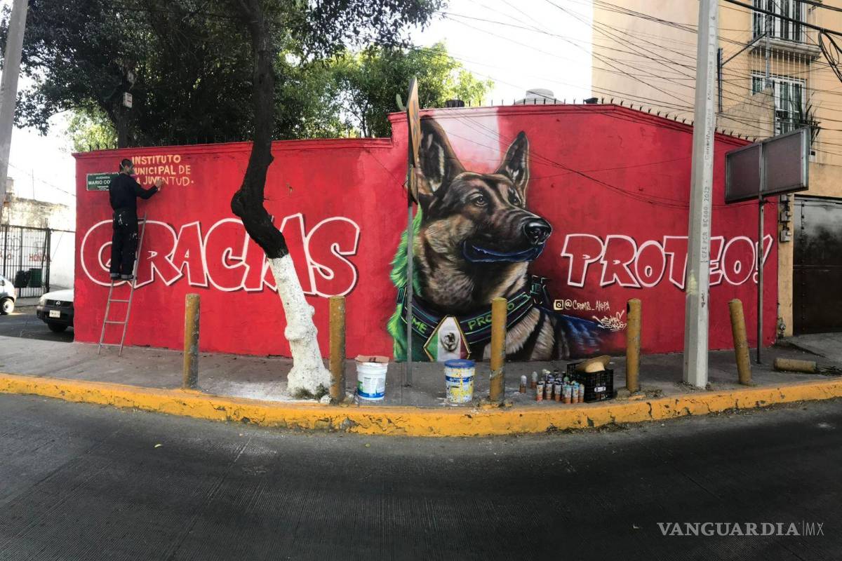 Proteo el perro héroe... ¿a cuántas personas salvó durante su labor como rescatista?