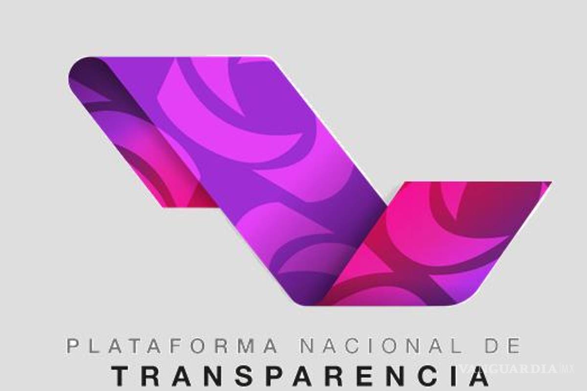 Plataforma Nacional de Transparencia fue hackeada desde el extranjero; información no estuvo en riesgo: INAI