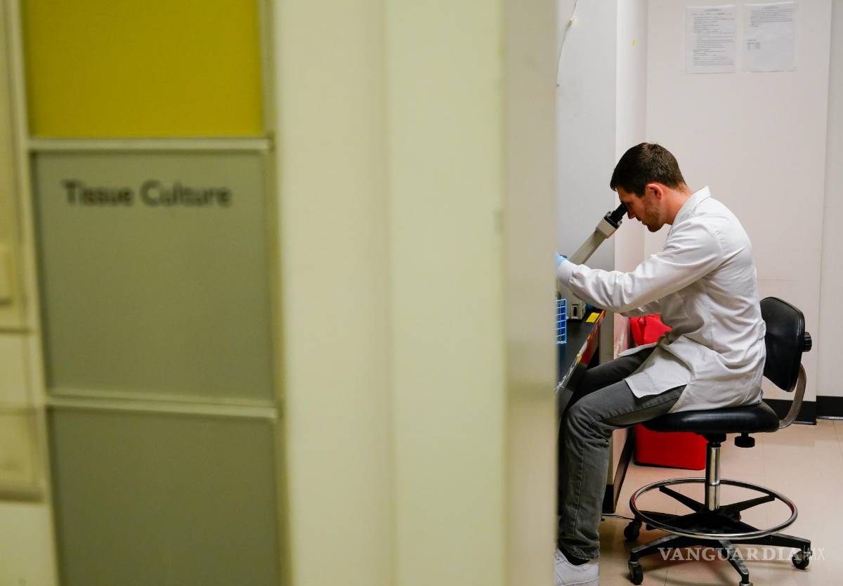 $!El científico investigador Kevin Potts observa las células de cáncer de ovario bajo un microscopio en el Instituto de Vacunas contra el Cáncer de UW Medicine.