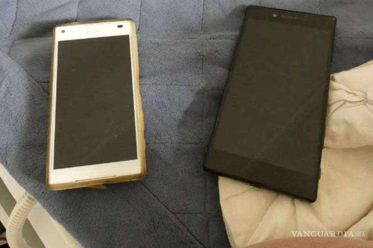 Investigación del FBI logra la detención de 19 personas que formaban parte de una red internacional de pedofilia