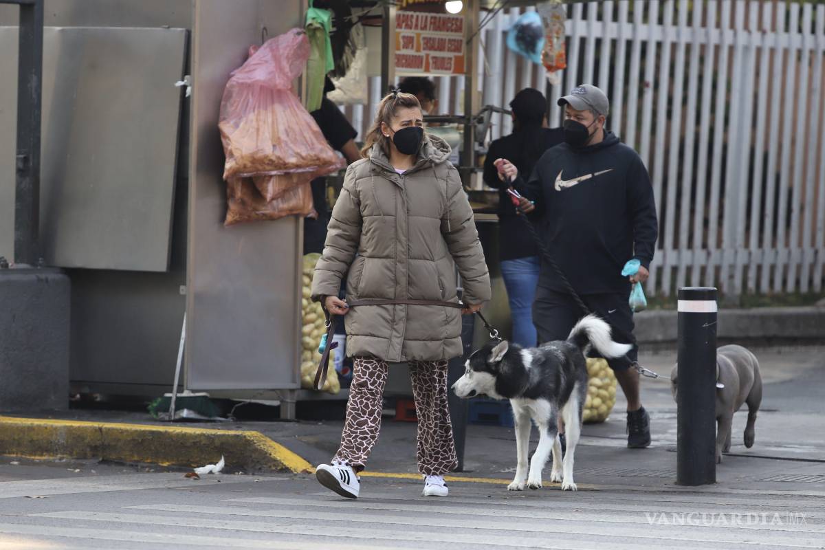 Nuevo frente frío llega a la CDMX: pronóstico del clima para este martes 11 de noviembre de 2025