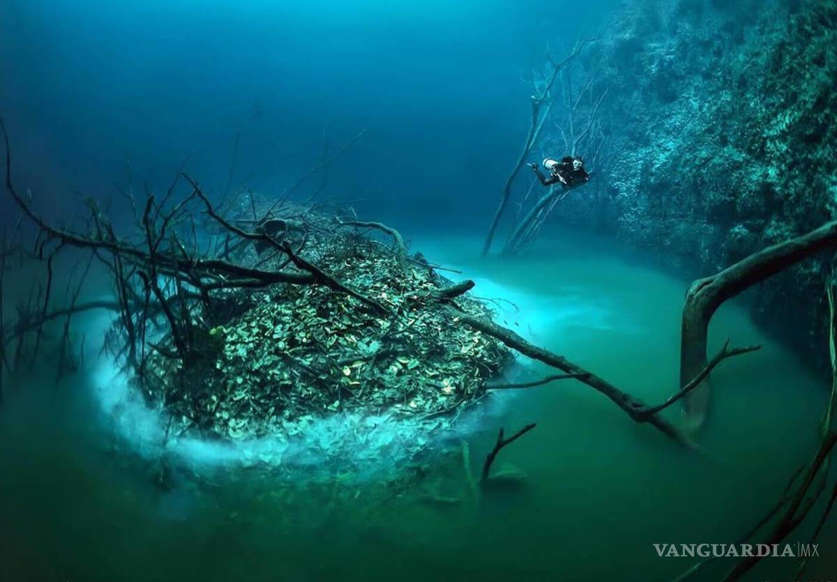 $!Cenote Angelita: Un río submarino en Yucatán.