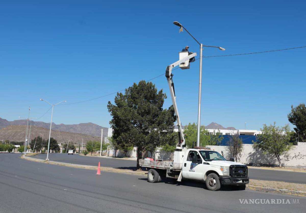 $!Además de la reforestación, el Municipio mantiene trabajos de mantenimiento en luminarias de vialidades principales.