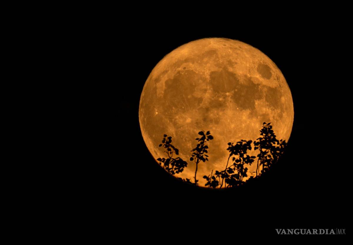 $!Superluna vista este jueves desde Logroño. La luna llena de julio llamada también Superluna de ciervo.