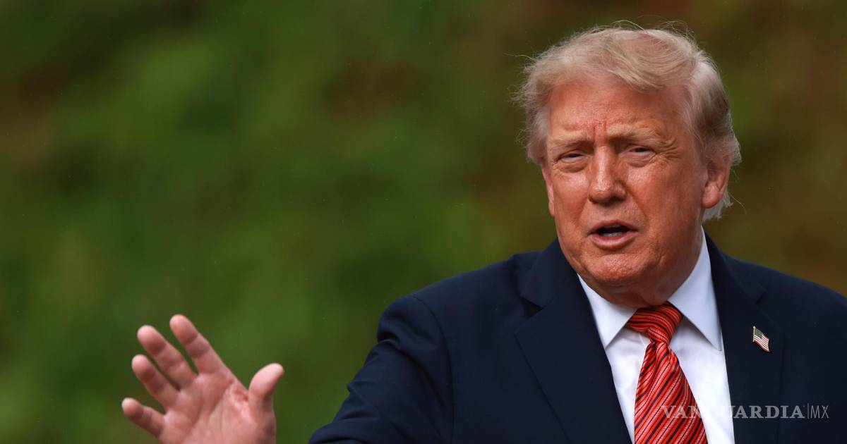 “No va a suceder”: Donald Trump tacha de ‘fuerzas negativas’ a quienes piden regular la IA