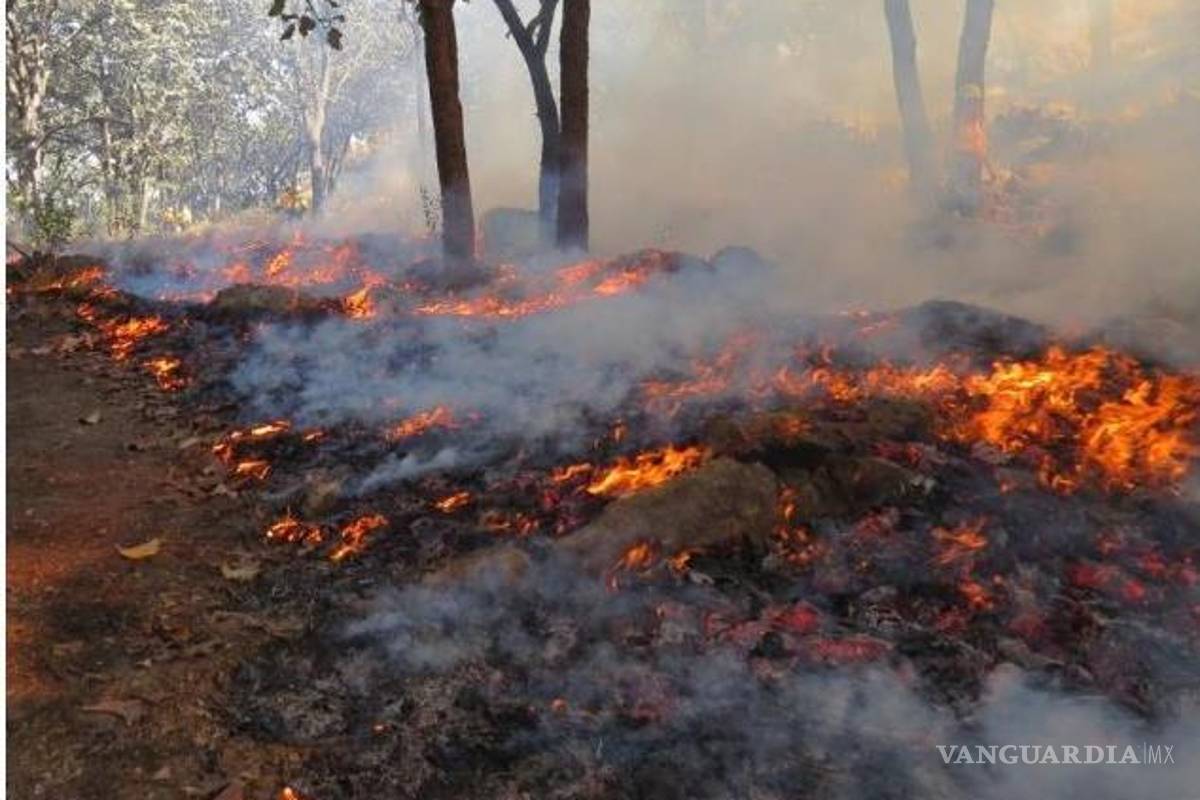 Quemas agrícolas sin control causan uno de cada tres incendios forestales
