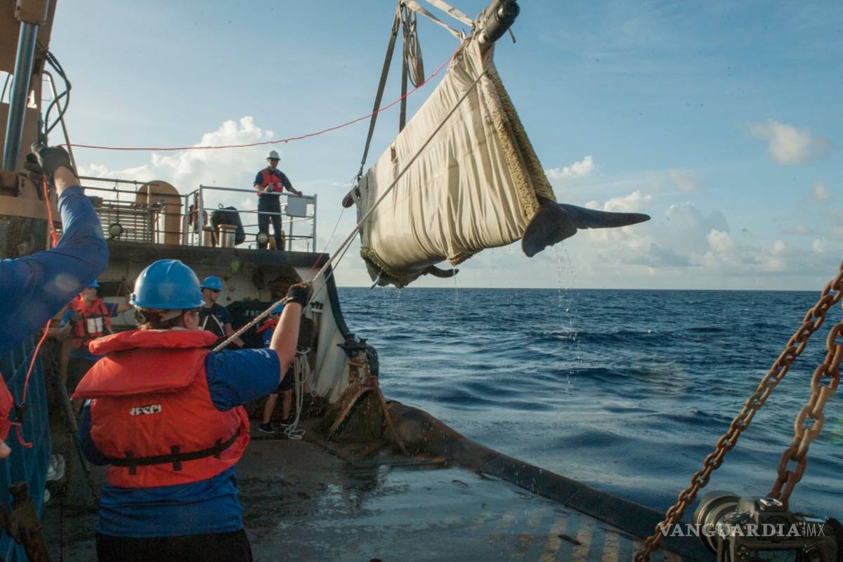 Ballena regresa al mar después de su rehabilitación en SeaWorld