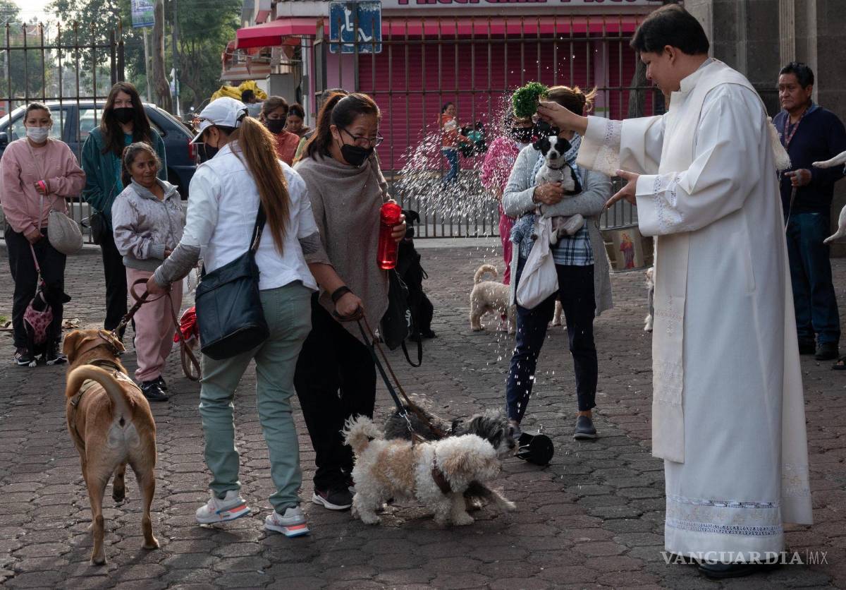 $!En México se celebra a este Santo llevando a las mascotas a la iglesia donde reciben la bendición y son rociados de agua bendita.