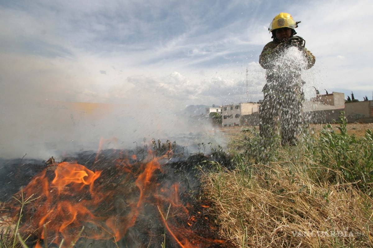 Se registran cuatro incendios en baldíos cada día en Saltillo