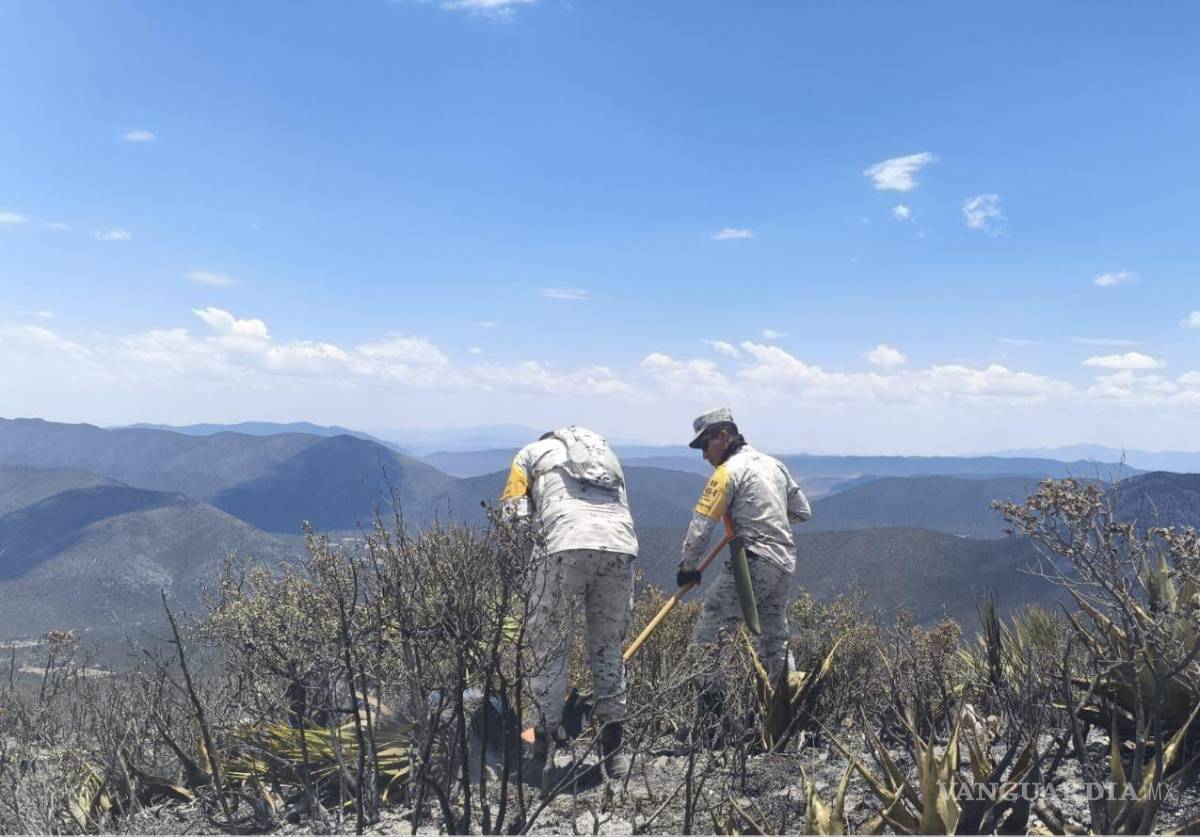 $!Las condiciones del terreno serrano representaron un reto para las brigadas que participaron en las maniobras de control del fuego, obligando a realizar recorridos en zonas de difícil acceso para atender los puntos más afectados.