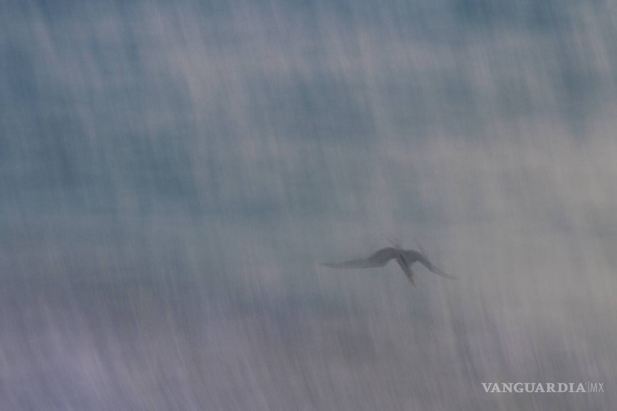 7 tips para encontrar inspiración