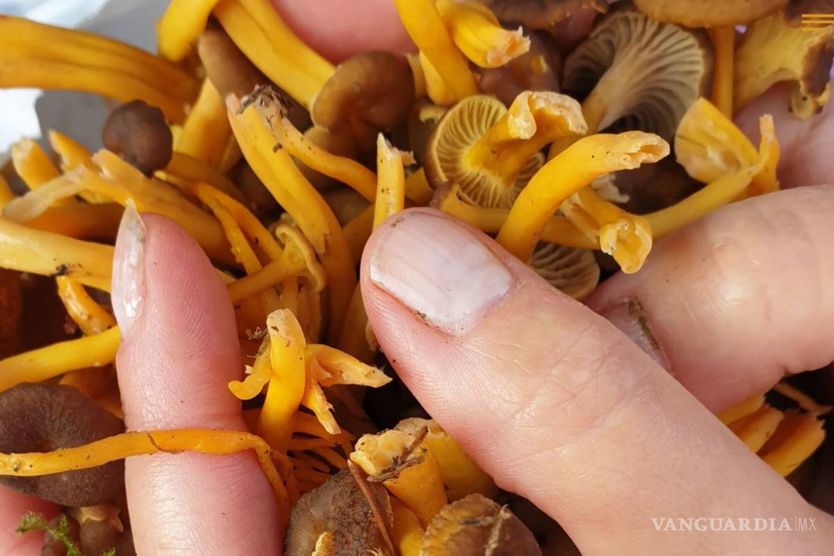 Para los pacientes con cáncer, una droga popular elimina el miedo a la muerte