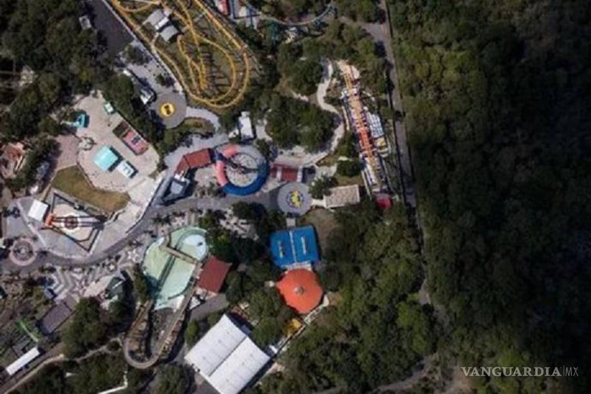 Six Flags no está autorizado para talar árboles para una nueva atracción: Sedema