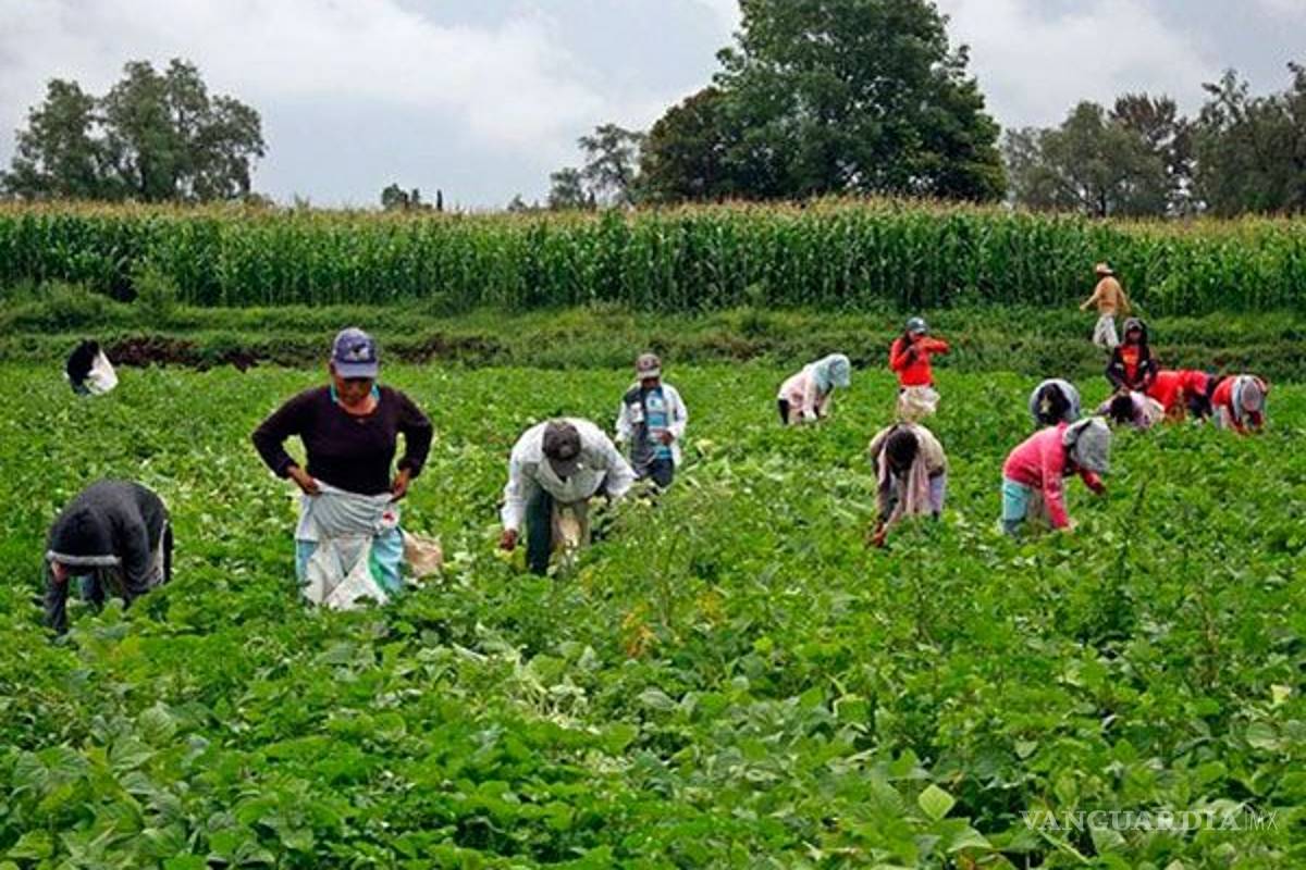 Los jornaleros indígenas son “invisibles” ante la emergencia
