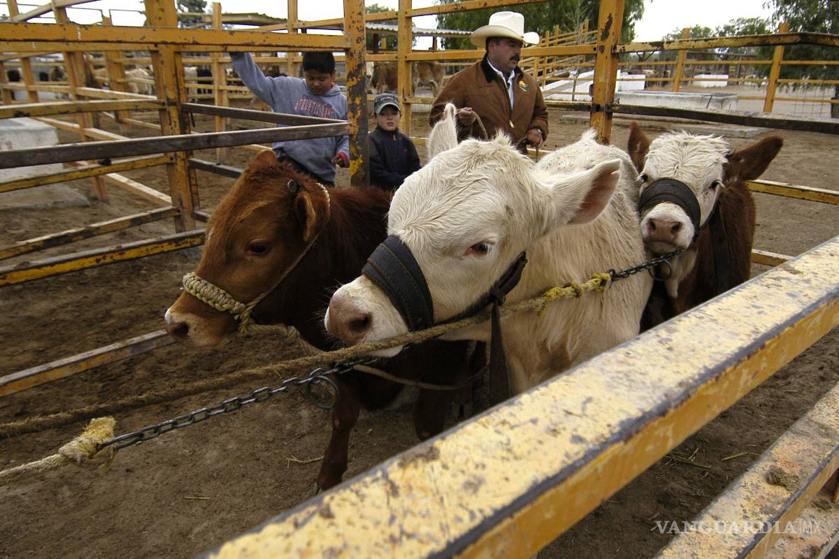 Buscan productores de EU y México negociar aranceles
