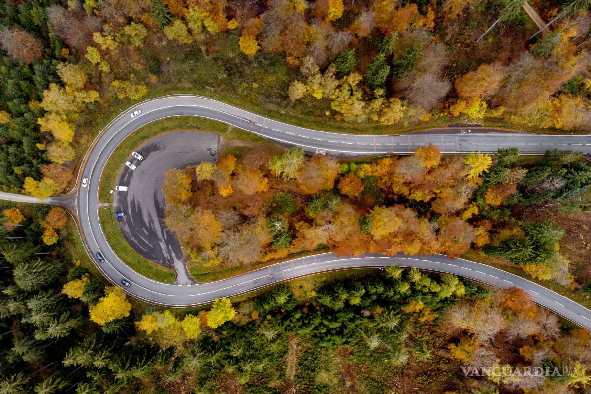 Más de 100 países prometen poner fin a la deforestación en la cumbre COP26