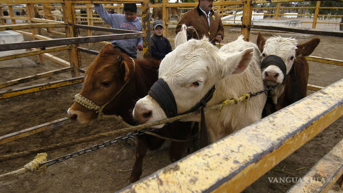 Buscan productores de EU y México negociar aranceles
