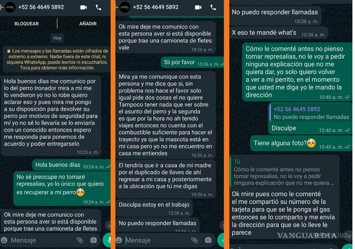 $!Joven saltillense denuncia a presunto estafador, finge rescatar perros y exige rescate para ‘liberarlos’.