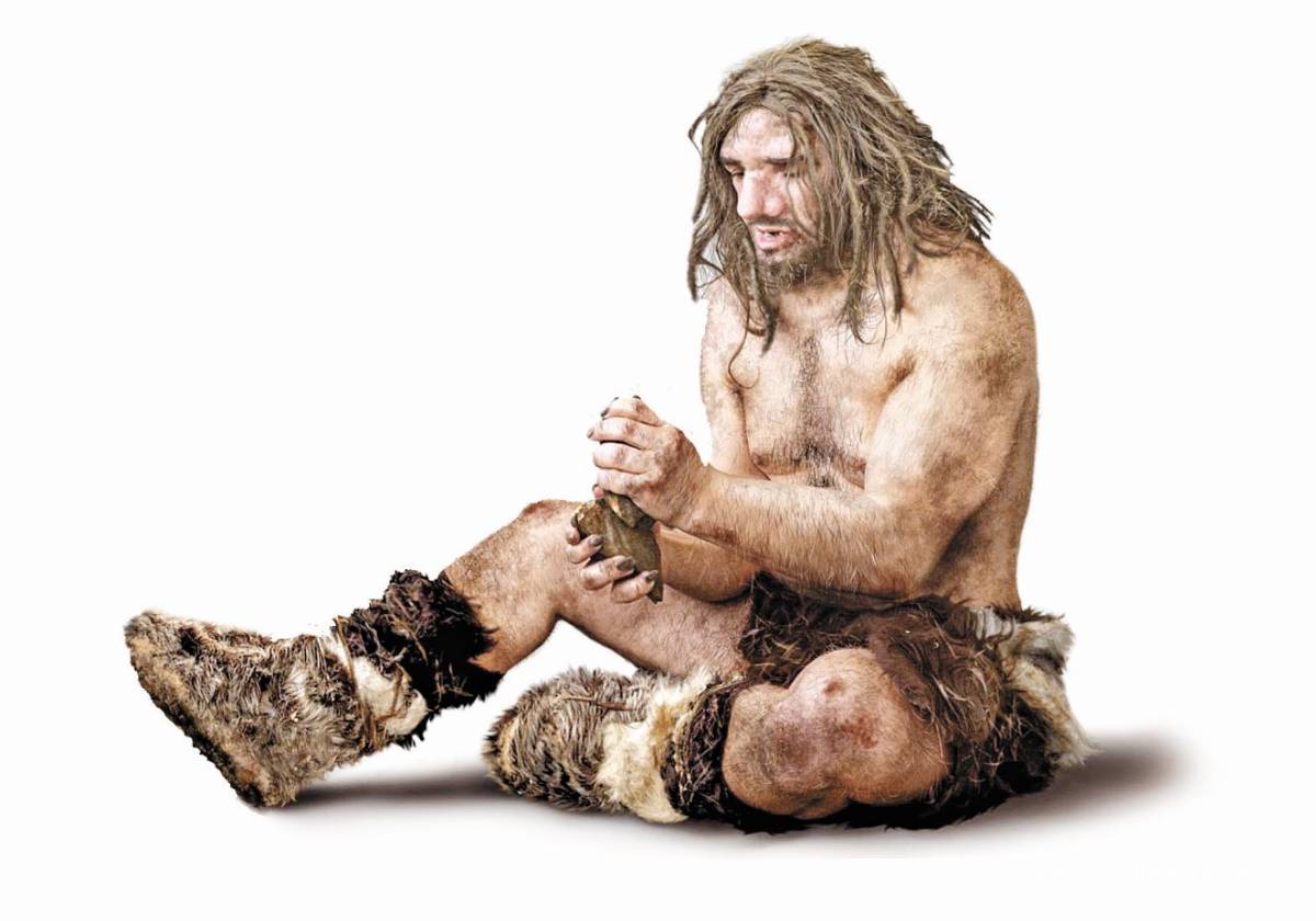 $!El fósil que cambió todo